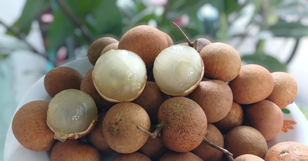 Nhãn bắp cải từng là đặc sản đắt đỏ, nay giảm giá kỷ lục