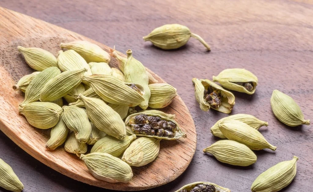 View - Gia vị "đắt bậc nhất thế giới", Việt Nam trồng bạt ngàn | Báo Tri thức và Cuộc sống - TIN TỨC PHỔ BIẾN KIẾN THỨC 24H