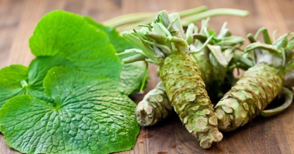 Gia vị đắt giá trong ẩm thực Nhật Bản, 6 triệu đồng/kg tại Việt Nam