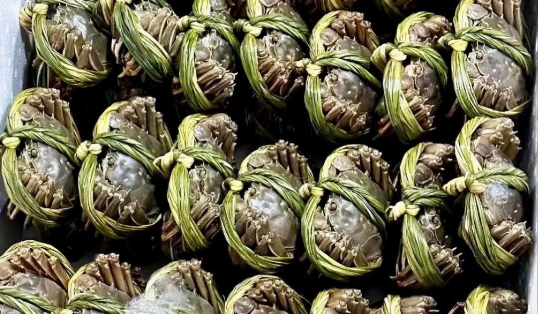 Gallery - Cua lông Trung Quốc giá rẻ, bán tràn lan chợ Việt | Báo Tri thức và Cuộc sống - TIN TỨC PHỔ BIẾN KIẾN THỨC 24H