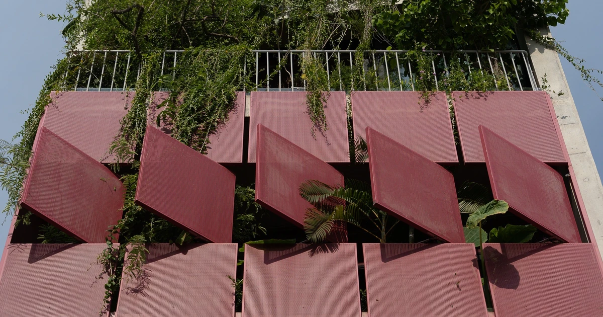 Chiêm ngưỡng nhà bê tông trần đẹp giản dị tại Sài Gòn