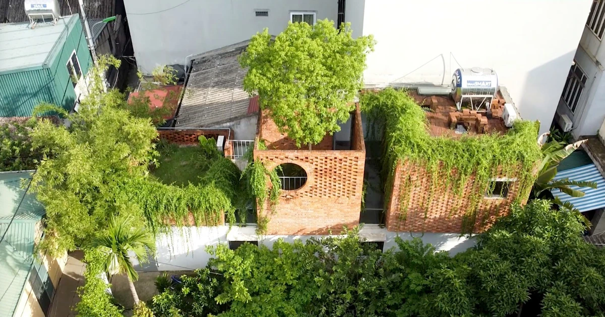 View - Ngôi nhà ống hiện đại kết hợp vườn xanh mướt tại Hà Nội | Báo Tri thức và Cuộc sống - TIN TỨC PHỔ BIẾN KIẾN THỨC 24H