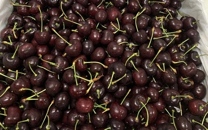 Gallery - Cherry Mỹ đổ bộ thị trường Việt, giá rẻ kỷ lục | Báo Tri thức và Cuộc sống - TIN TỨC PHỔ BIẾN KIẾN THỨC 24H