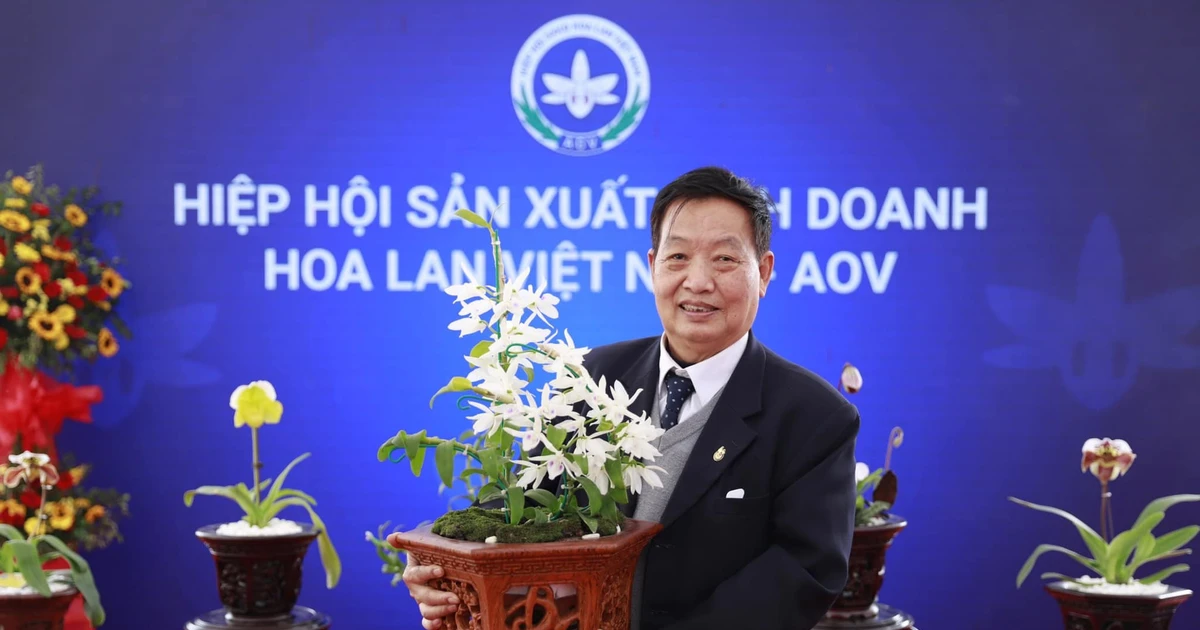 View - Giáo sư Trần Duy Quý và giấc mơ nâng tầm hoa lan Việt | Báo Tri thức và Cuộc sống - TIN TỨC PHỔ BIẾN KIẾN THỨC 24H