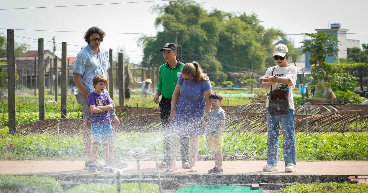 View - Làng du lịch tốt nhất thế giới 2024 gọi tên Làng rau Trà Quế | Báo Tri thức và Cuộc sống - TIN TỨC PHỔ BIẾN KIẾN THỨC 24H
