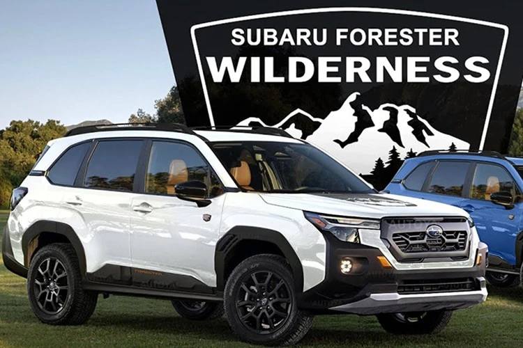 View - Mục sở thị SUV địa hình Subaru Forester Wilderness 2026, hơn 38.000 USD | Báo Tri thức và Cuộc sống - TIN TỨC PHỔ BIẾN KIẾN THỨC 24H