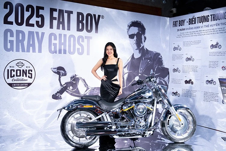 Chi tiết Harley-Davidson Fat Boy Gray Ghost hơn 1,5 tỷ tại Việt Nam