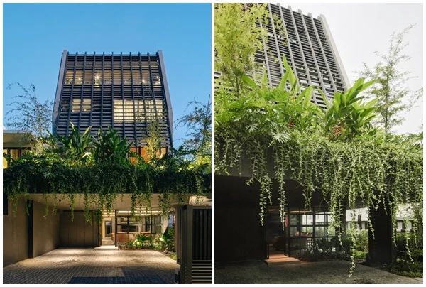 View - Nhà phố độc đáo thiết kế theo hiệu ứng “vườn vô cực“ | Báo Tri thức và Cuộc sống - TIN TỨC PHỔ BIẾN KIẾN THỨC 24H