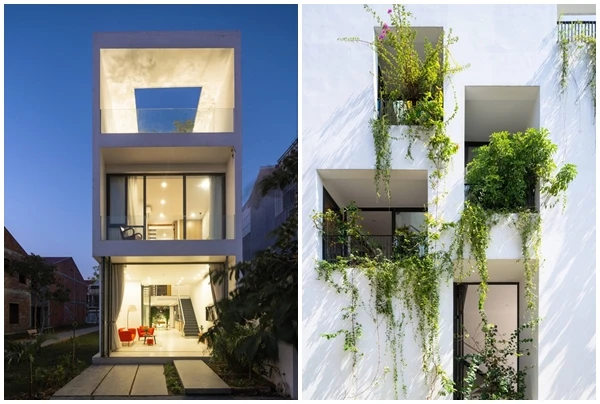 View - Nhà ống sở hữu khu vườn sáng tạo đẹp nên thơ tại Huế | Báo Tri thức và Cuộc sống - TIN TỨC PHỔ BIẾN KIẾN THỨC 24H