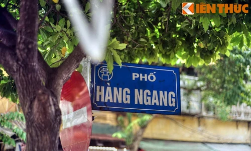 vietnamdaily.kienthuc.net.vn