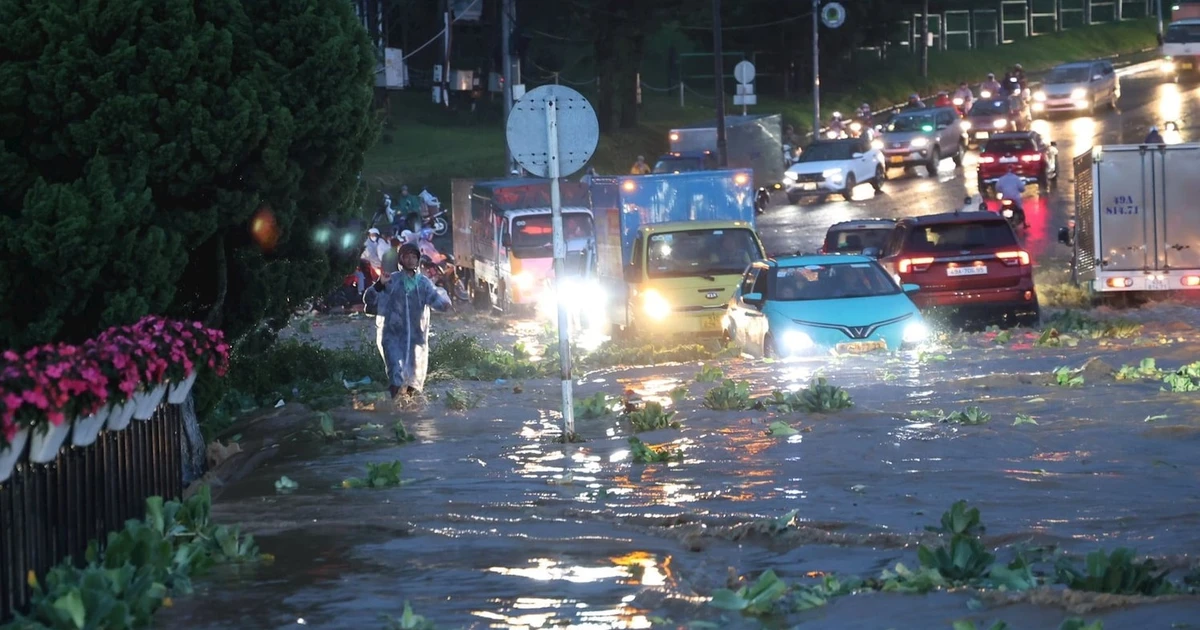 Gallery - Mưa lớn gây sạt lở ở Đà Lạt, 2 du khách thiệt mạng | Báo Tri thức và Cuộc sống - TIN TỨC PHỔ BIẾN KIẾN THỨC 24H