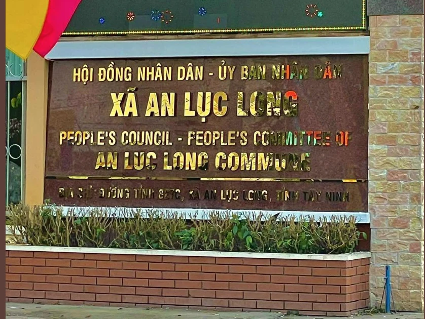 Bài viết