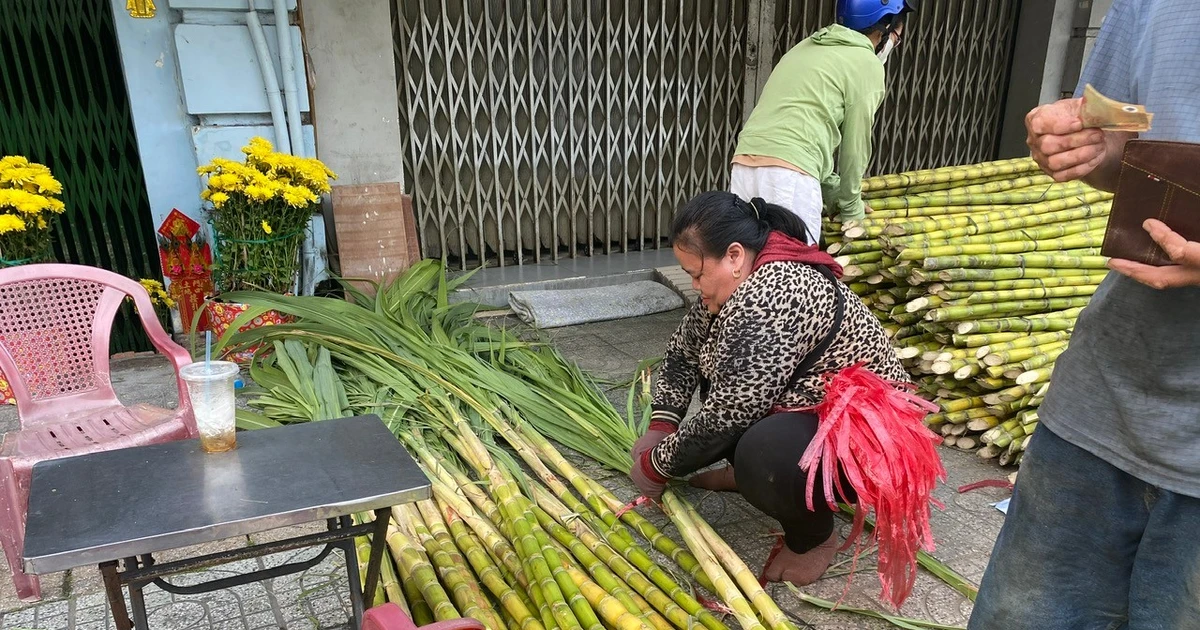 View - Độc đáo 'Chợ mía vía Trời' mỗi năm chỉ họp 1 lần ở TP HCM | Báo Tri thức và Cuộc sống - TIN TỨC PHỔ BIẾN KIẾN THỨC 24H