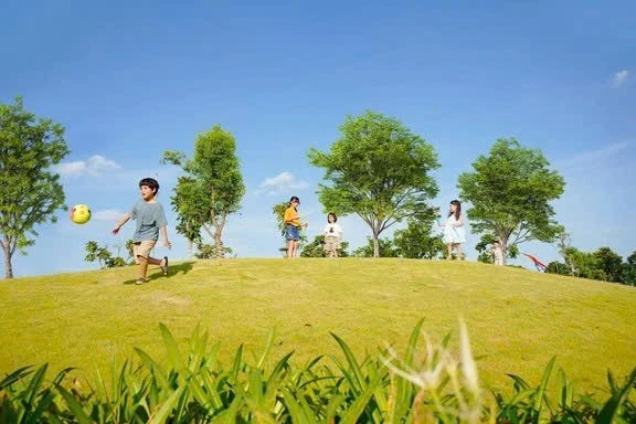 Tác động của môi trường sống đến sức khỏe tinh thần