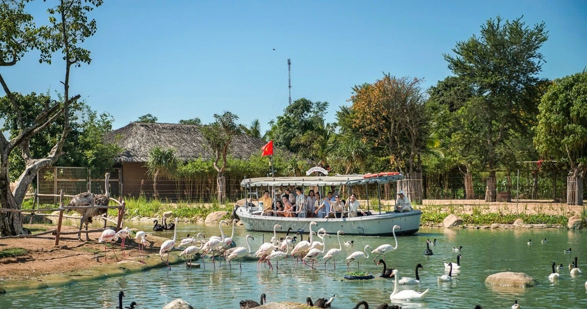 View - Tặng con mùa hè đáng nhớ – học điều hay từ thế giới diệu kỳ VinWonders Nam Hội An | Báo Tri thức và Cuộc sống - TIN TỨC PHỔ BIẾN KIẾN THỨC 24H