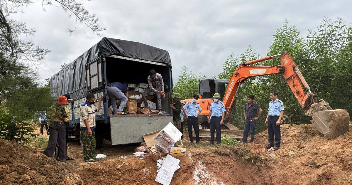 Tiêu hủy hơn 5,3 tấn thực phẩm vi phạm tại Quảng Trị