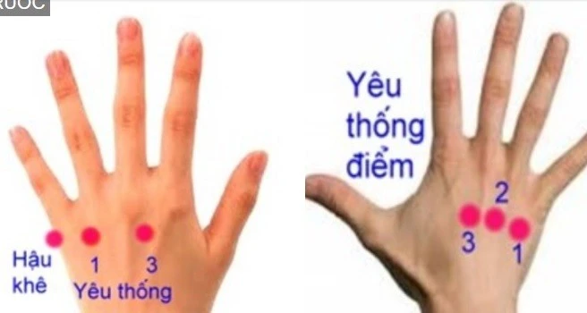 View - Bấm huyệt ở tay trị ngay đau lưng | Báo Tri thức và Cuộc sống - TIN TỨC PHỔ BIẾN KIẾN THỨC 24H