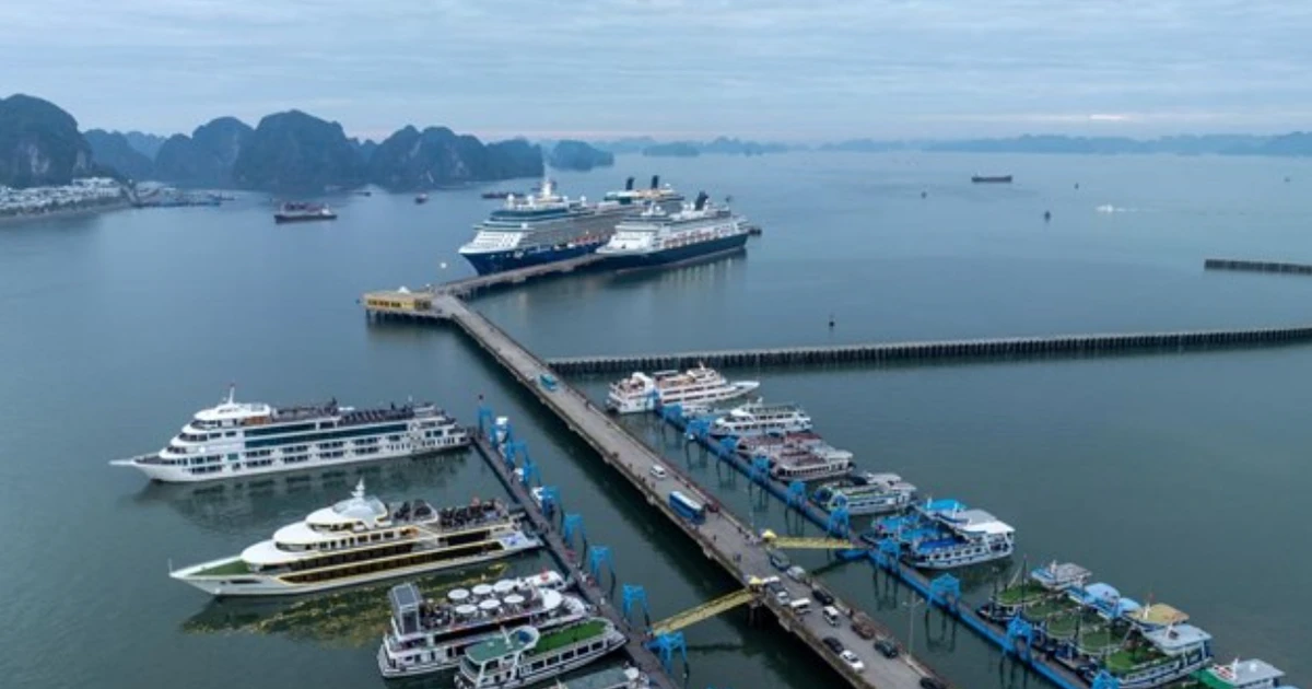 Quảng Ninh tạm dừng hoạt động trên biển để tránh bão số 11 Matmo