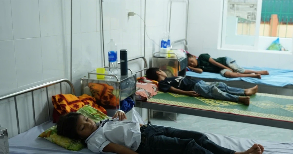 Vụ ngộ độc tại Quảng Trị, vi khuẩn Bacillus cereus là thủ phạm