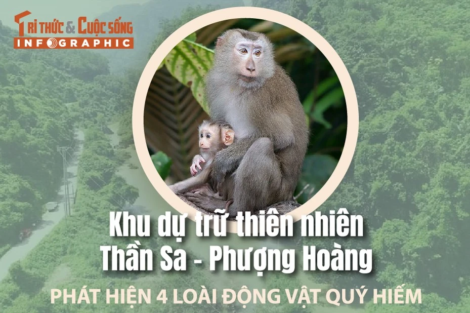 Gallery - [INFOGRAPHIC] Khám phá Khu dự trữ thiên nhiên Thần Sa - Phượng Hoàng | Báo Tri thức và Cuộc sống - TIN TỨC PHỔ BIẾN KIẾN THỨC 24H