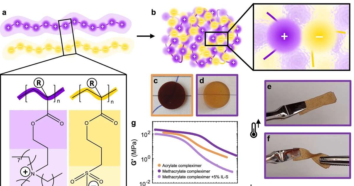 View - Các nhà khoa học Hà Lan phát minh vật liệu thách thức các định luật vật lý | Báo Tri thức và Cuộc sống - TIN TỨC PHỔ BIẾN KIẾN THỨC 24H
