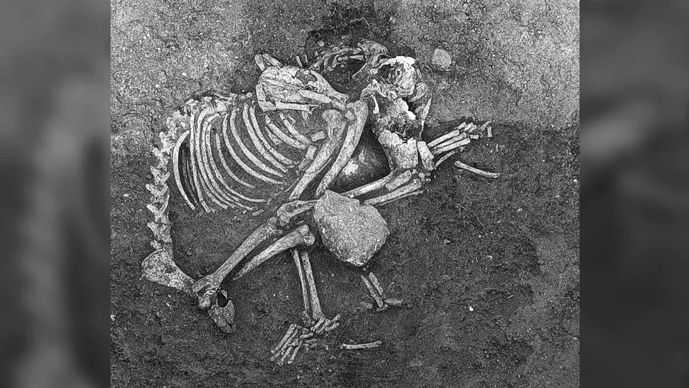 View - Giải mã sốc về bữa tiệc của người xưa cách nay 2.500 năm | Báo Tri thức và Cuộc sống - TIN TỨC PHỔ BIẾN KIẾN THỨC 24H