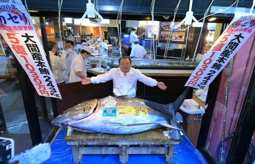 Gallery - Những cuộc săn cá ngừ vây xanh đắt nhất thế giới | Báo Tri thức và Cuộc sống - TIN TỨC PHỔ BIẾN KIẾN THỨC 24H