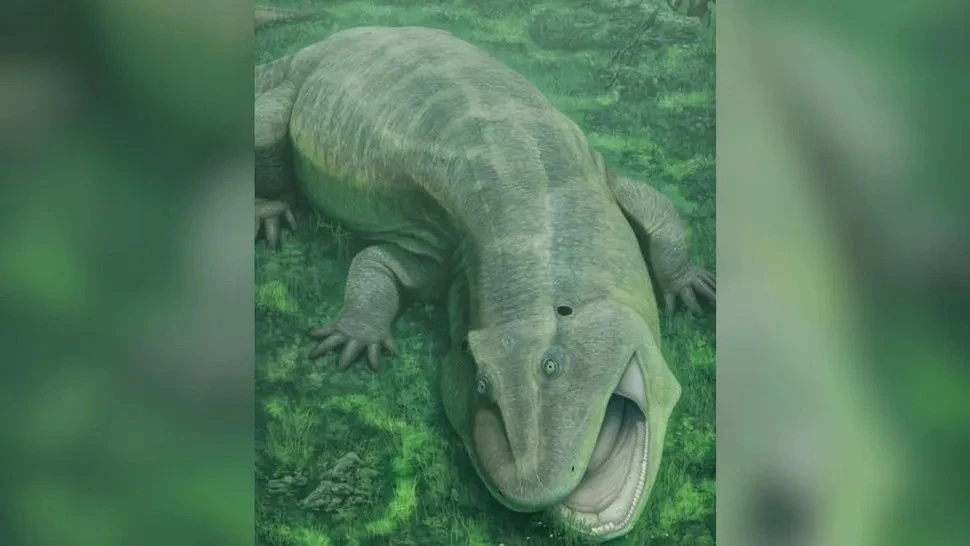 View - Hóa thạch 275 triệu năm tuổi hé lộ thủy quái có hàm răng xoắn kỳ dị | Báo Tri thức và Cuộc sống - TIN TỨC PHỔ BIẾN KIẾN THỨC 24H