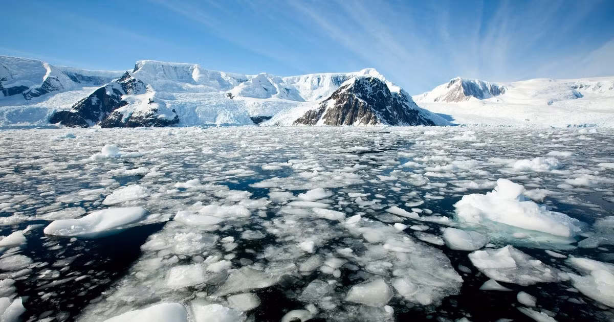 View - Chuyên gia hé lộ vi sinh vật có khả năng sinh tồn đặc biệt ở Nam Cực | Báo Tri thức và Cuộc sống - TIN TỨC PHỔ BIẾN KIẾN THỨC 24H