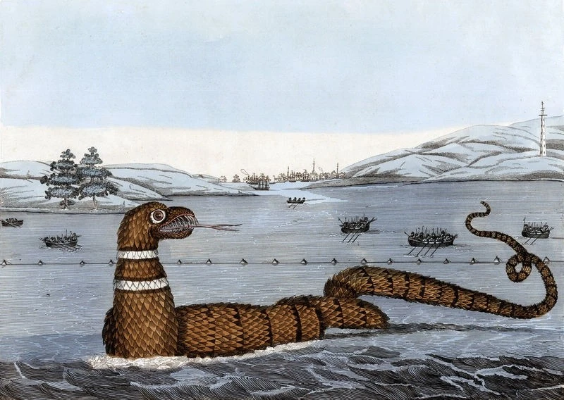 Gallery - Bí ẩn thủy quái khổng lồ gây xôn xao dư luận thế kỷ 19 | Báo Tri thức và Cuộc sống - TIN TỨC PHỔ BIẾN KIẾN THỨC 24H