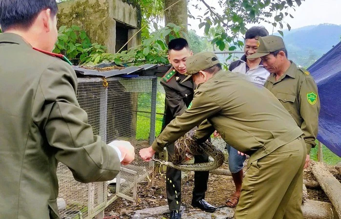 Gallery - Ba động vật trong Sách Đỏ đi lạc vào nhà dân ở Thanh Hóa | Báo Tri thức và Cuộc sống - TIN TỨC PHỔ BIẾN KIẾN THỨC 24H