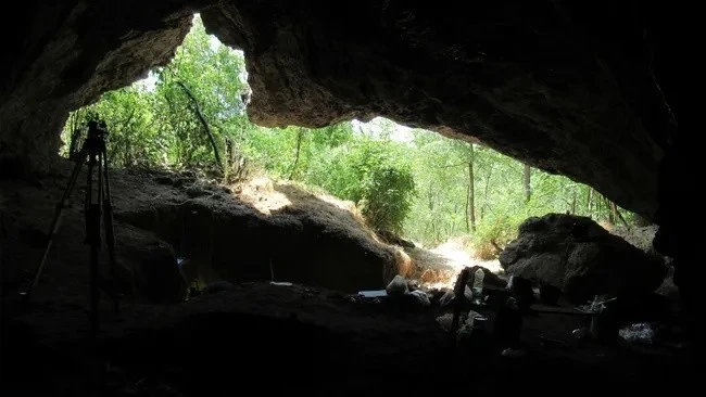 Gallery - Phân tích ADN, phát hiện bí mật lớn về người Neanderthal ở châu Âu | Báo Tri thức và Cuộc sống - TIN TỨC PHỔ BIẾN KIẾN THỨC 24H