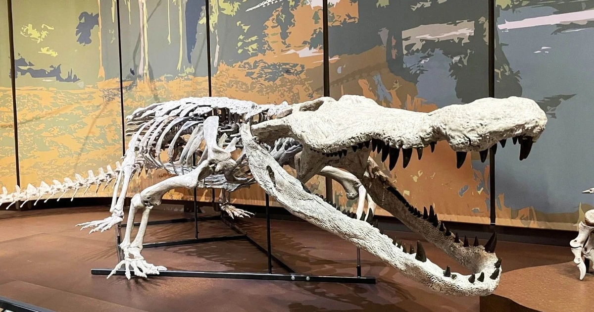Gallery - 'Hồi sinh' loài cá sấu cổ đại ăn thịt cả khủng long | Báo Tri thức và Cuộc sống - TIN TỨC PHỔ BIẾN KIẾN THỨC 24H