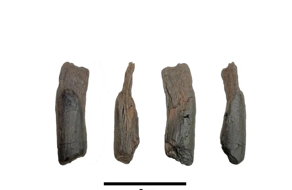 Gallery - Công cụ gỗ cổ xưa nhất của Hy Lạp hé lộ bí mật lịch sử | Báo Tri thức và Cuộc sống - TIN TỨC PHỔ BIẾN KIẾN THỨC 24H