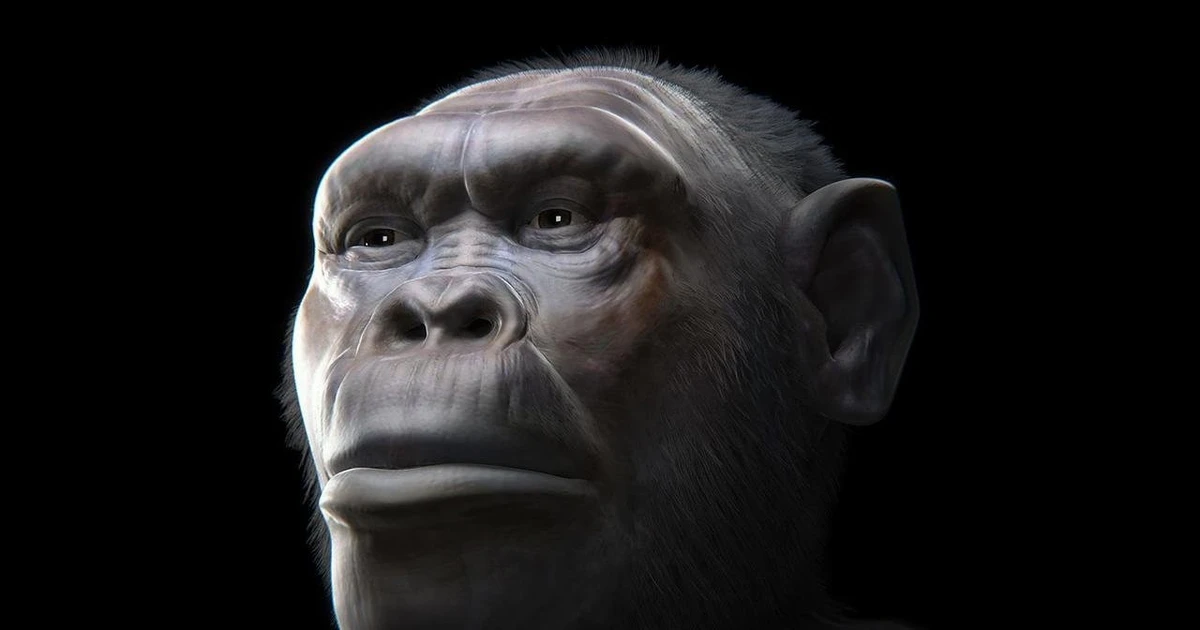 Gallery - Hai loài người bí ẩn đi cùng tổ tiên Homo erectus rời khỏi châu Phi | Báo Tri thức và Cuộc sống - TIN TỨC PHỔ BIẾN KIẾN THỨC 24H