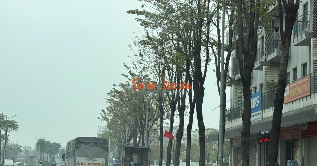 Gallery - Lòng đường thành 'bến bãi', vỉa hè thành kho hàng ở Hà Nội | Báo Tri thức và Cuộc sống - TIN TỨC PHỔ BIẾN KIẾN THỨC 24H