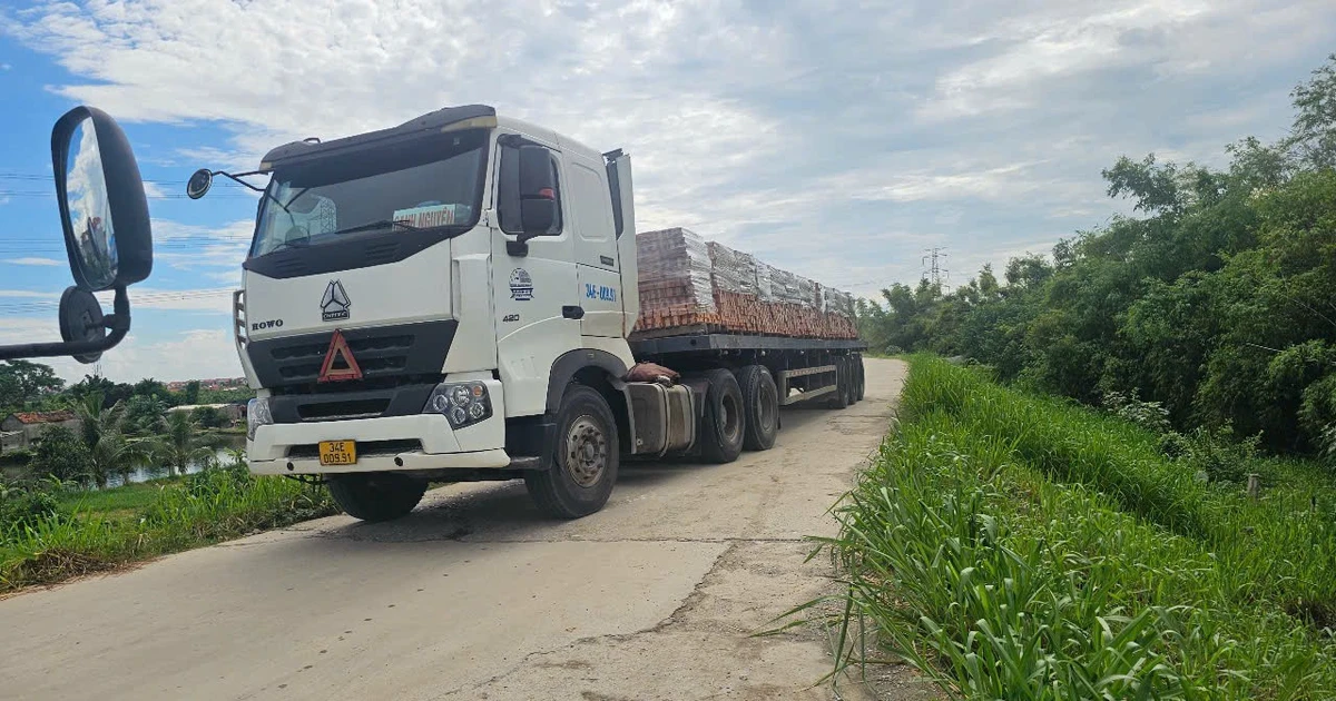 Xe container chở gạch vẫn lưu thông trên đê sông Thái Bình báo động 1