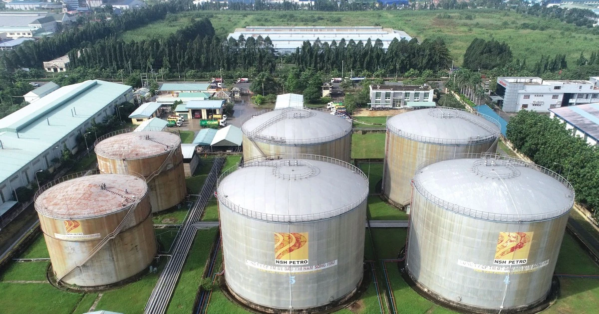 Dầu khí Nam Sông Hậu bị xử phạt giữa khủng hoảng tài chính