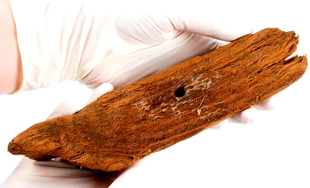 Thuyền đồ chơi trẻ em 1.000 năm tuổi bất ngờ lộ diện