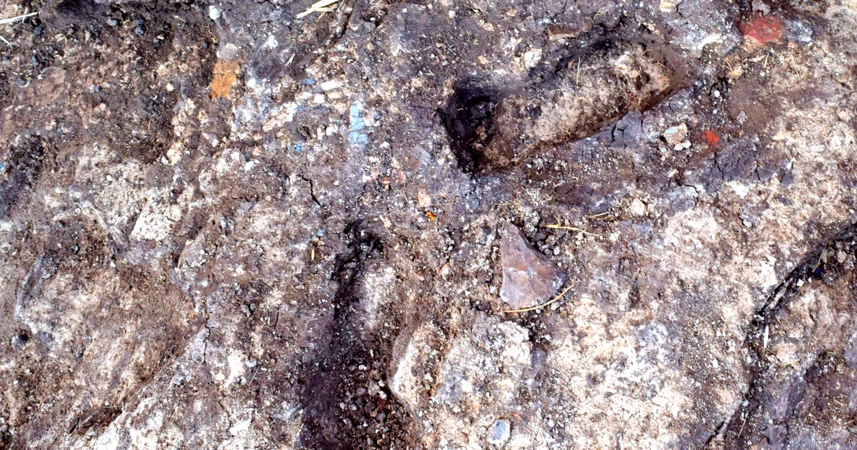 Bí ẩn dấu chân trẻ em xuất hiện giữa công trình Ai Cập nghìn năm