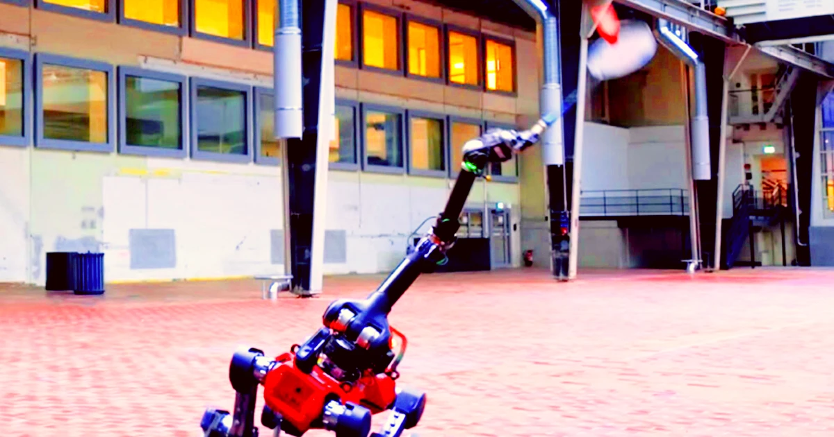 Robot bốn chân chơi cầu lông cùng con người