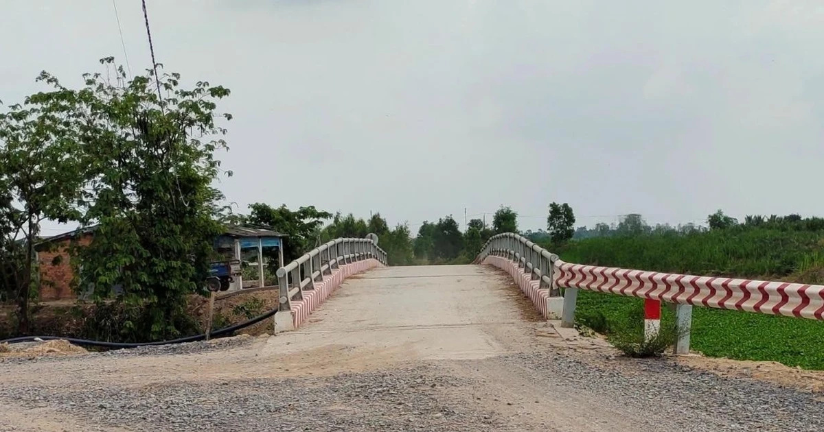 Gói thầu 13,2 tỷ ở Cần Thơ: Liên danh Đại Bảo Ngọc - Thịnh Vượng thắng thế