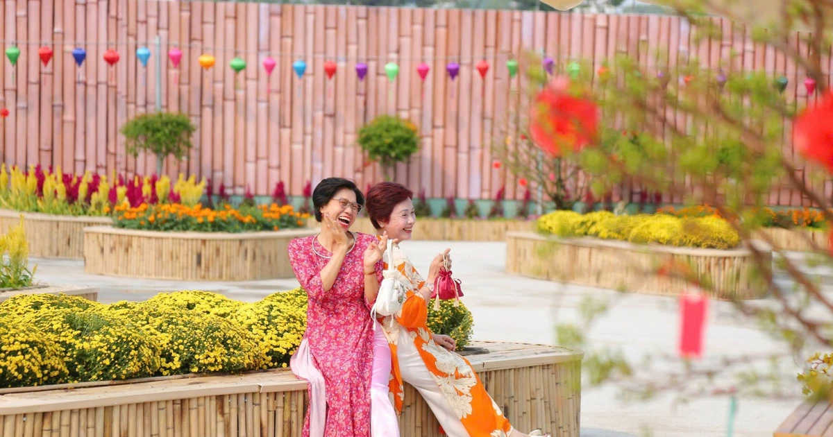 View - Hàng loạt 'đất vàng' bỏ hoang tại TP HCM biến thành vườn xuân rực rỡ | Báo Tri thức và Cuộc sống - TIN TỨC PHỔ BIẾN KIẾN THỨC 24H