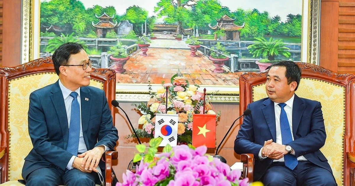 View - Đối ngoại đưa Hải Dương thành cực tăng trưởng thành phố mới | Báo Tri thức và Cuộc sống - TIN TỨC PHỔ BIẾN KIẾN THỨC 24H