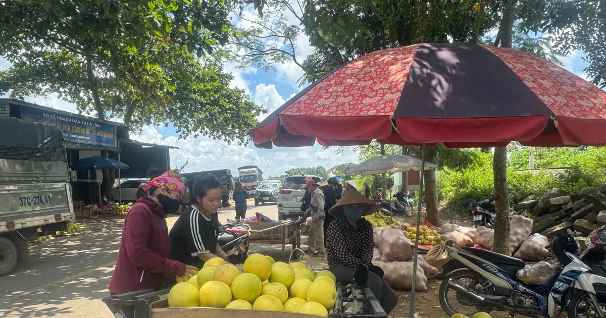 View - Nhộn nhịp khu chợ ở Hà Tĩnh chỉ bán "đệ nhất danh quả" | Báo Tri thức và Cuộc sống - TIN TỨC PHỔ BIẾN KIẾN THỨC 24H