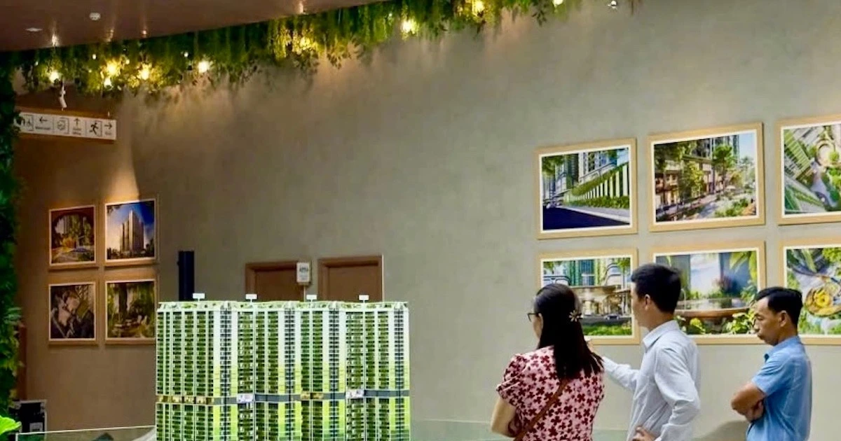 TPHCM cấm chủ đầu tư ủy quyền thu tiền đặt cọc, ký hợp đồng mua bán dự án