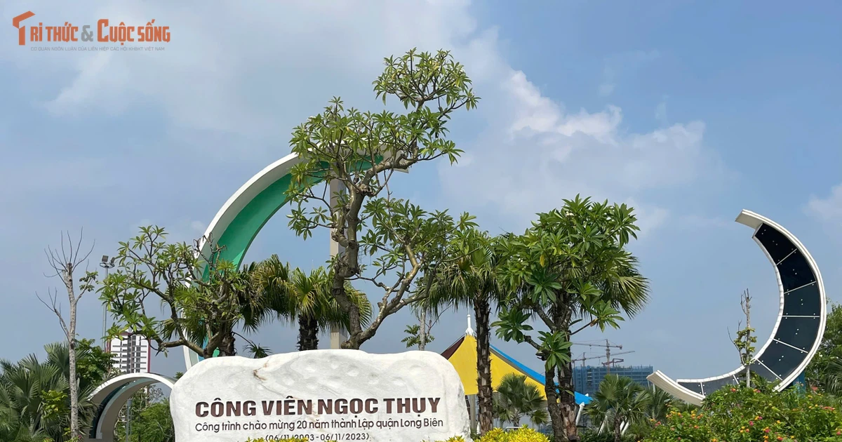 Bài viết