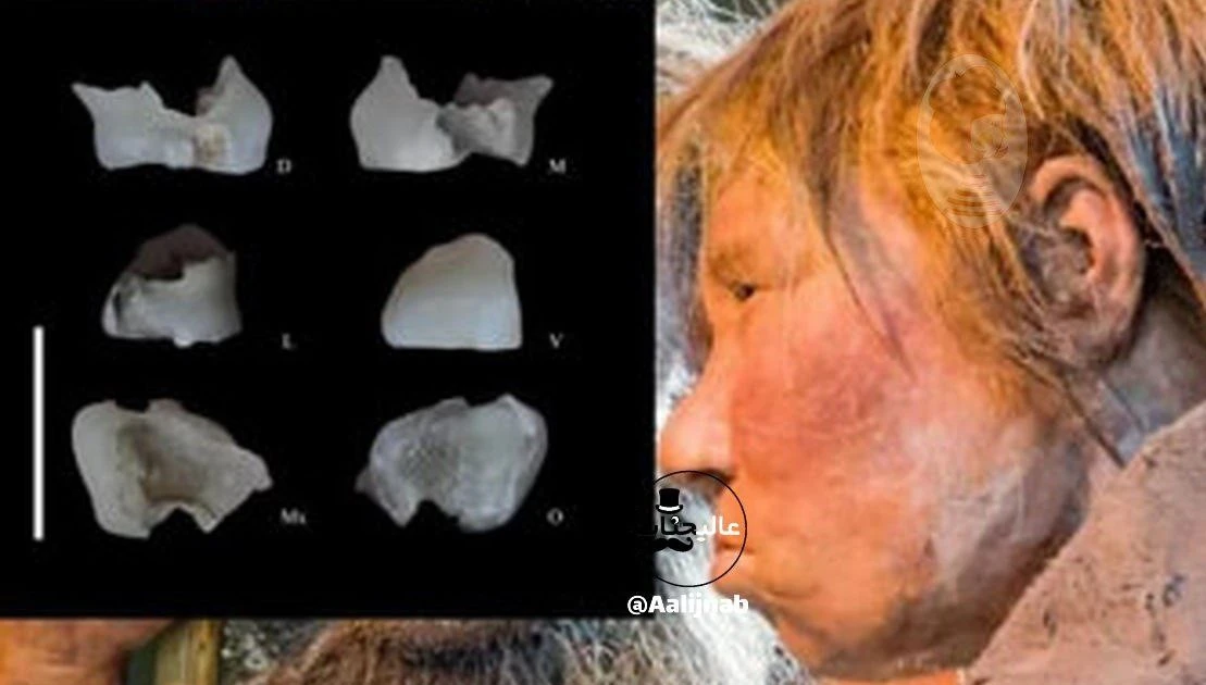 Gallery - Phát hiện hài cốt 700.000 năm tại Iran viết lại lịch sử nhân loại? | Báo Tri thức và Cuộc sống - TIN TỨC PHỔ BIẾN KIẾN THỨC 24H