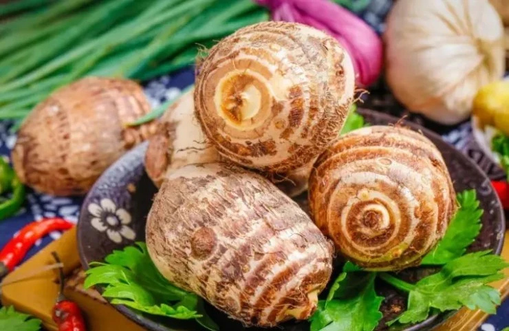 View - Mùa thu ấm áp với món khoai sọ xào thịt bò bổ dưỡng, dễ làm | Báo Tri thức và Cuộc sống - TIN TỨC PHỔ BIẾN KIẾN THỨC 24H