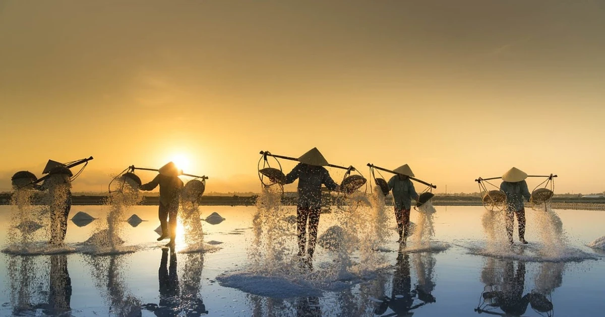View - Về Sa Huỳnh hòa mình trải nghiệm nông dân trên cánh đồng muối | Báo Tri thức và Cuộc sống - TIN TỨC PHỔ BIẾN KIẾN THỨC 24H
